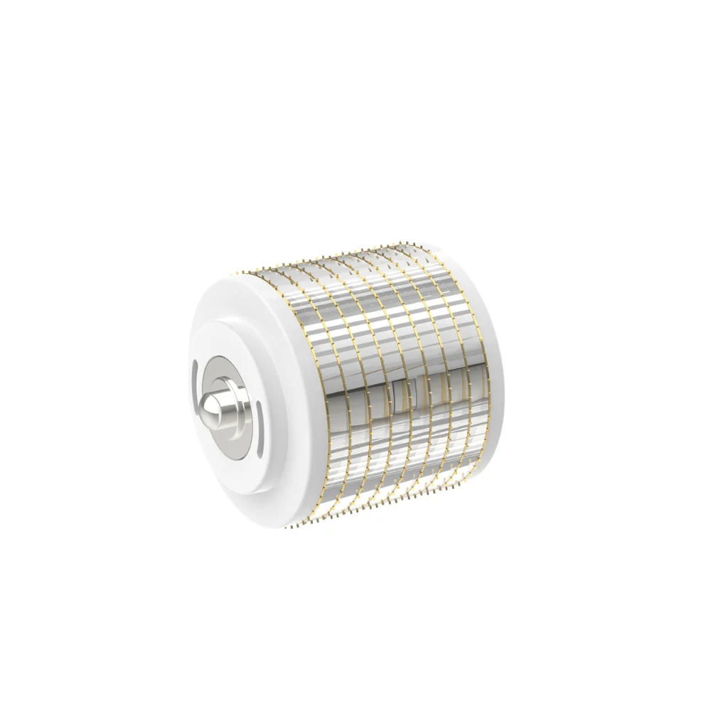 0.25mm Replacement Cartridges for Bio Roller G5 (1 Pack of 5)